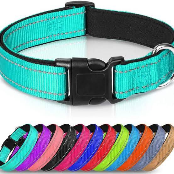 Nylon Padded Collar