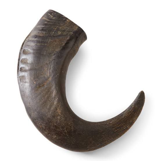 horn