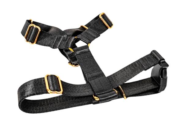 Nylon Harness